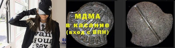 индика Дмитриев
