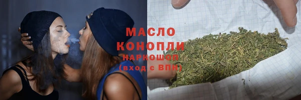 амф Дмитров