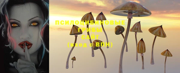 mdpv Беломорск