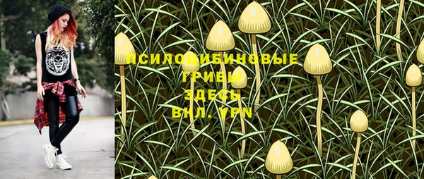 ECSTASY Белоозёрский